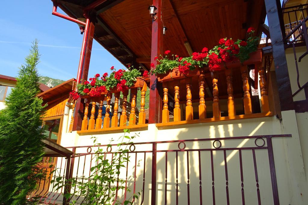 Pension Cuibul Viselor Băile Herculane Exterior foto