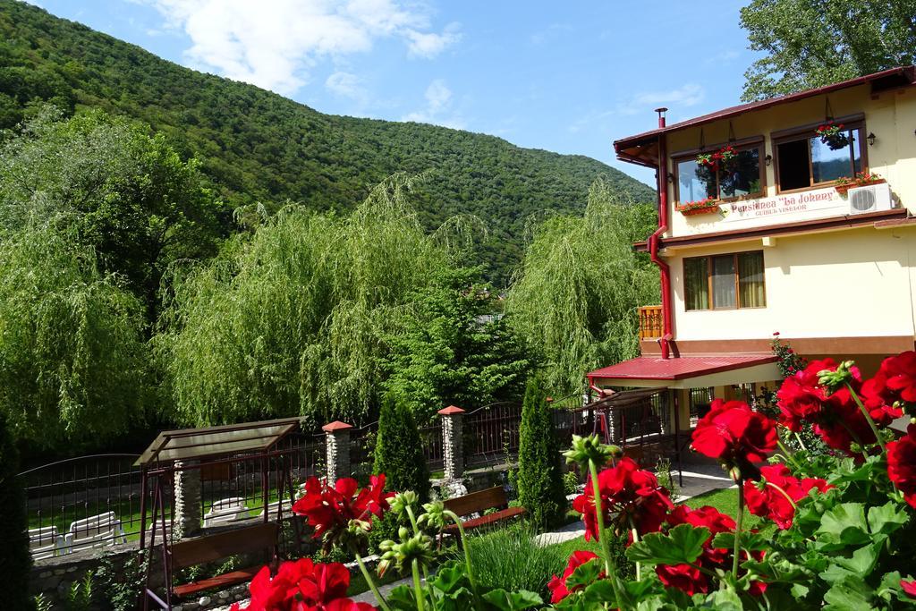 Pension Cuibul Viselor Băile Herculane Exterior foto