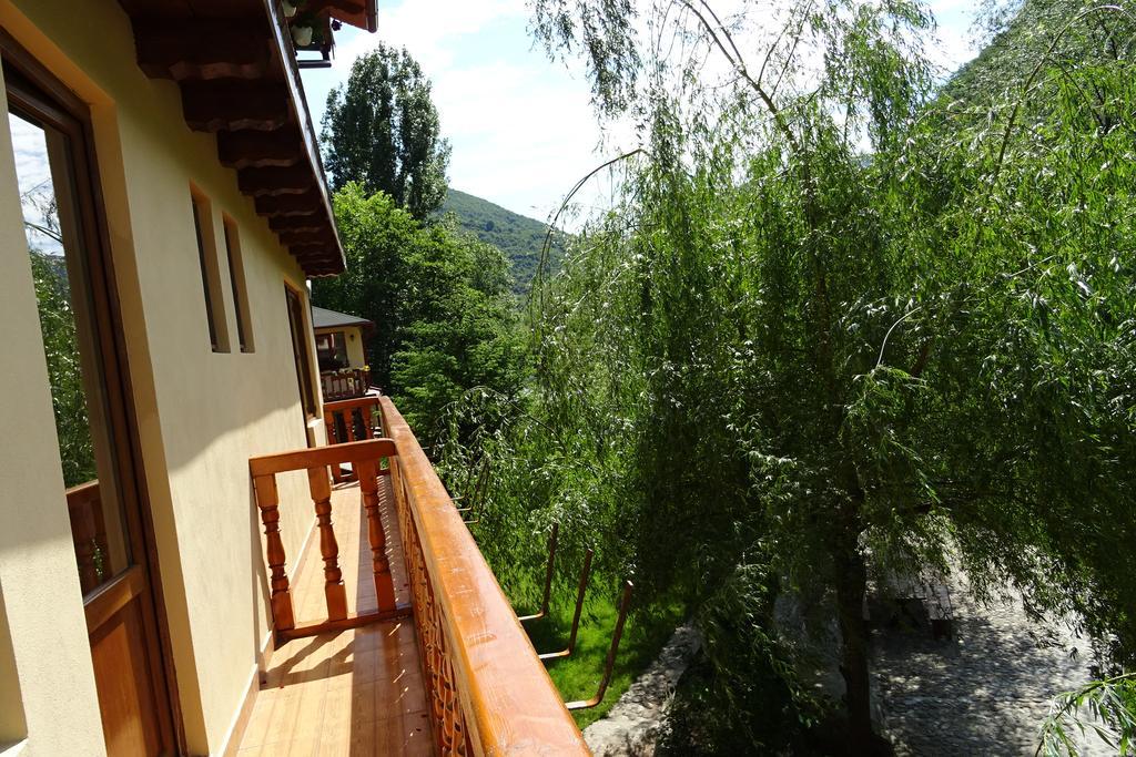 Pension Cuibul Viselor Băile Herculane Exterior foto